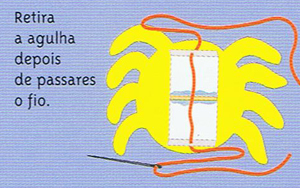 aranha-corredica-06