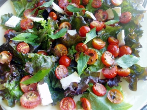 salada-d-tomates-moonblushp