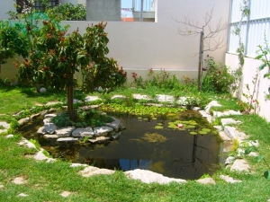 lago-no-jardim