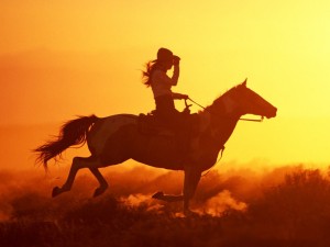 Como montar a Cavalo